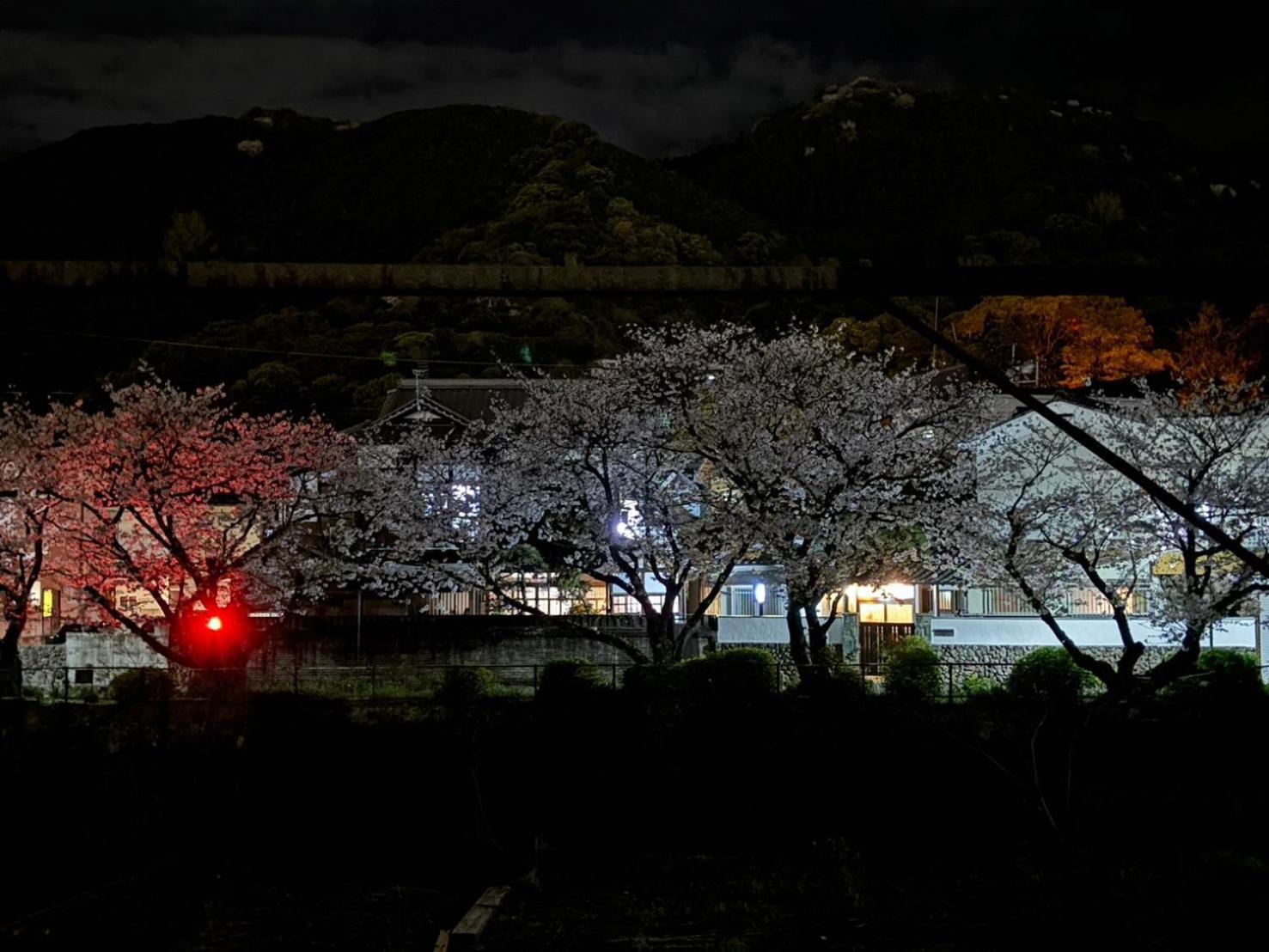 Guesthouse Sakichi Beppu Kültér fotó