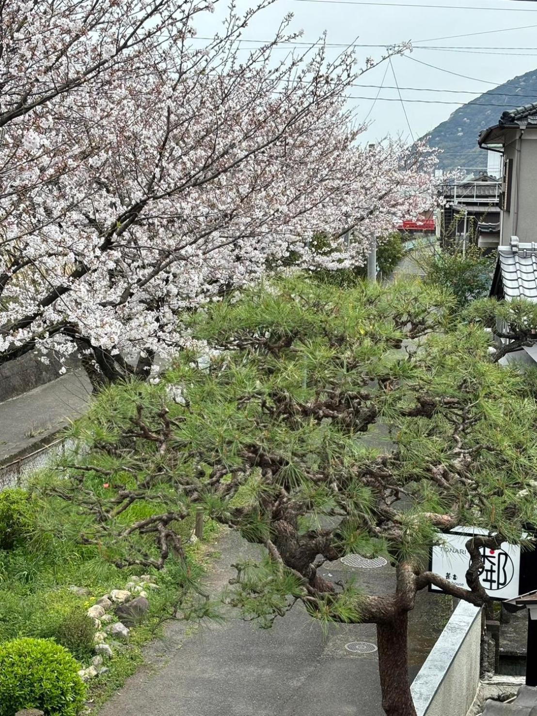 Guesthouse Sakichi Beppu Kültér fotó